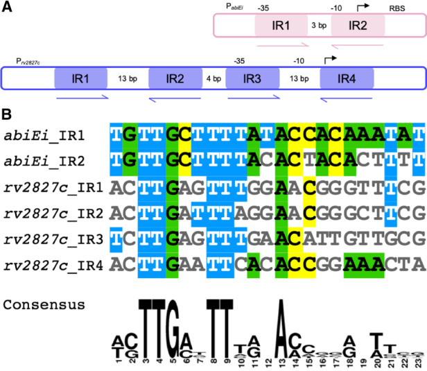 Figure 3.