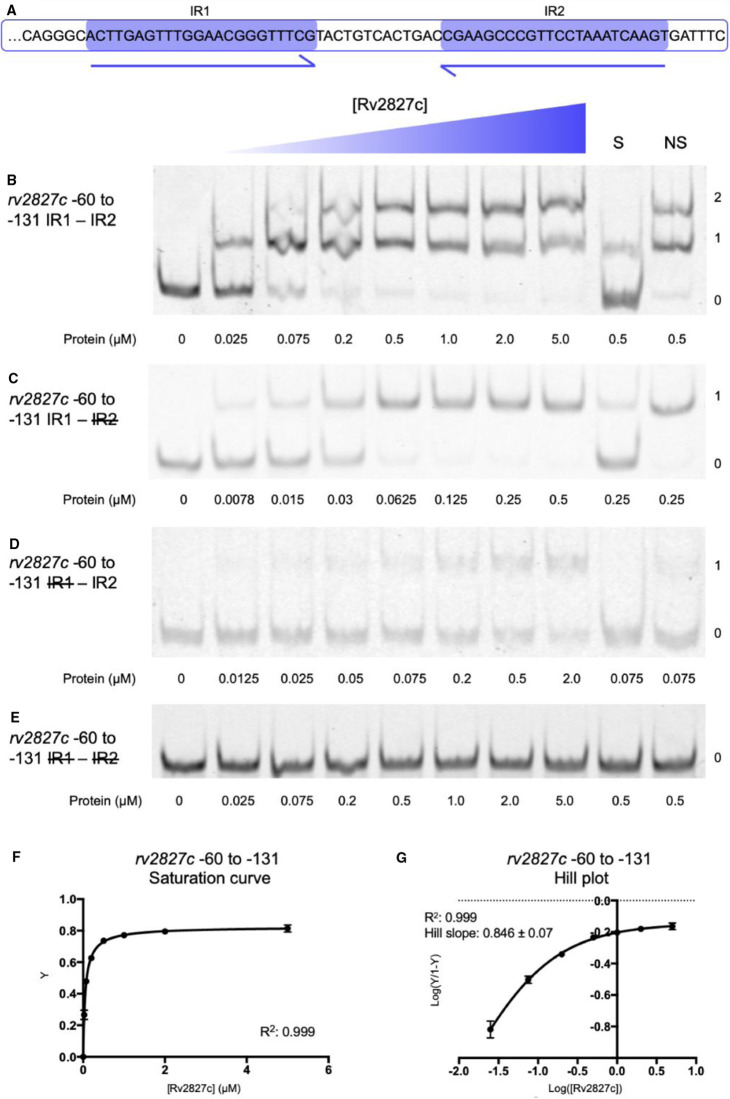 Figure 5.