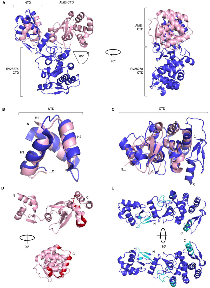 Figure 2.