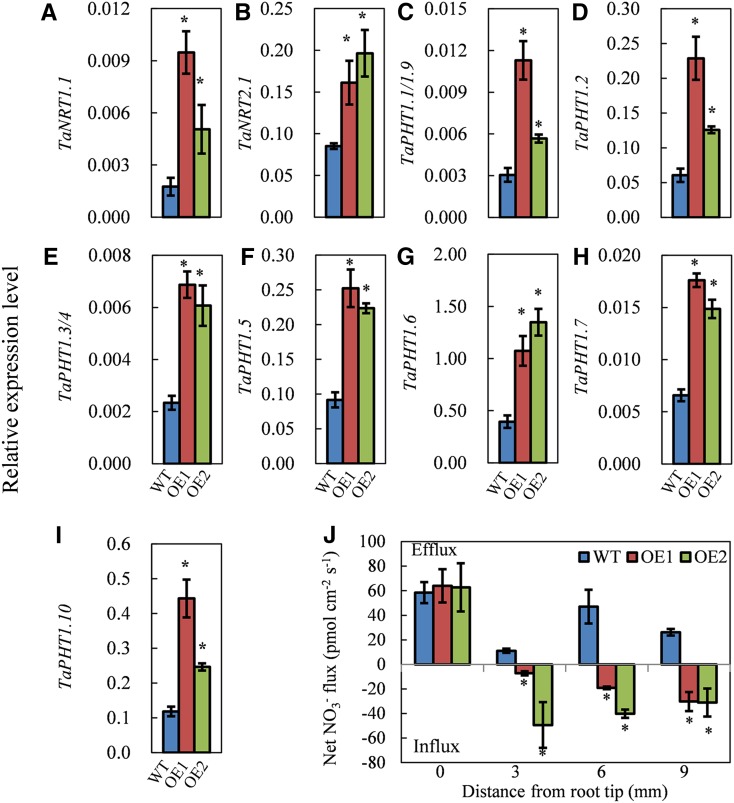 Figure 6.