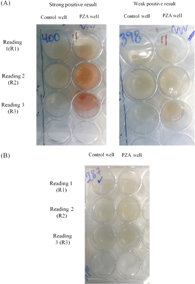 FIG 2