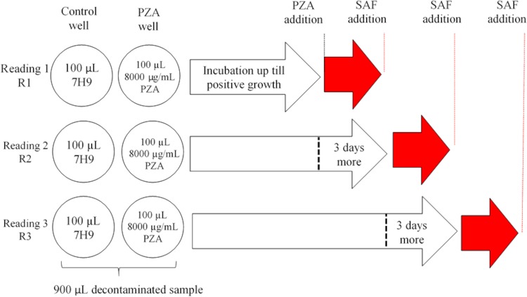 FIG 1