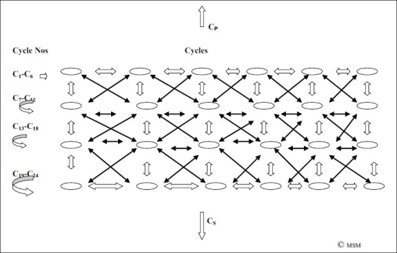 Figure 15