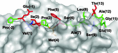 Fig. 5.