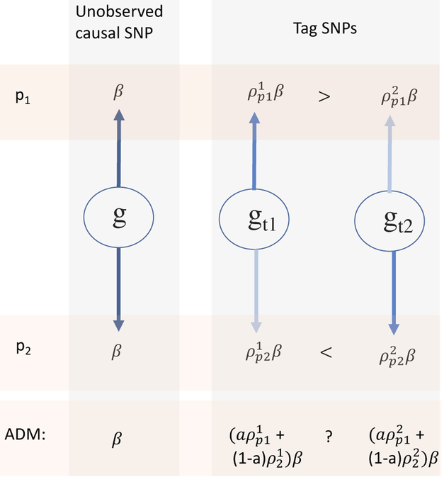 Figure 1: