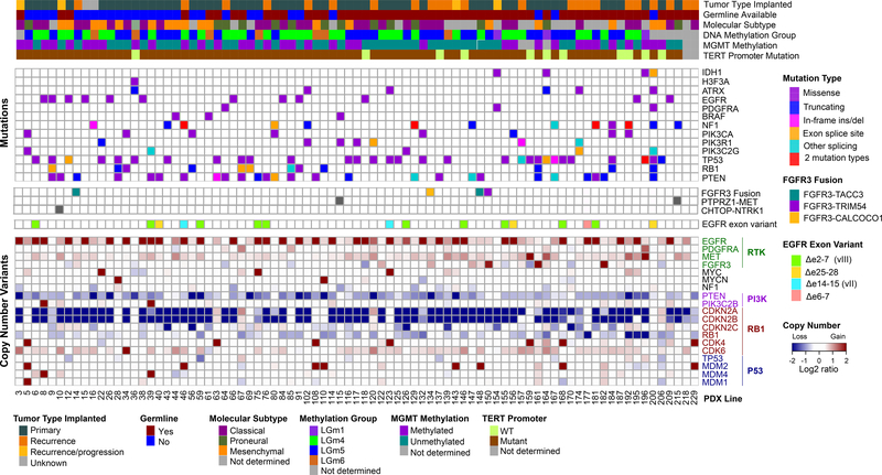 Figure 3: