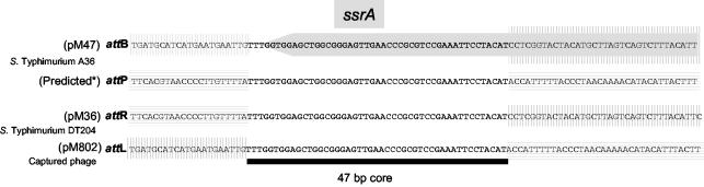 FIG. 5.