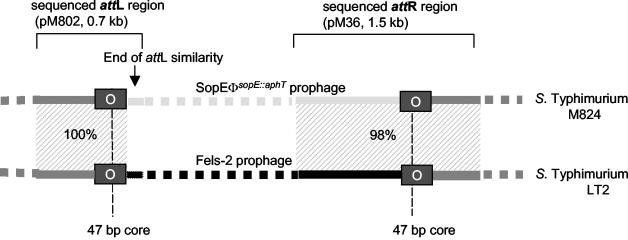 FIG. 8.