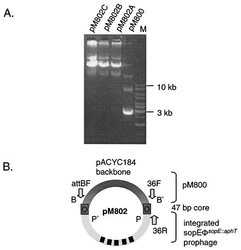 FIG. 3.