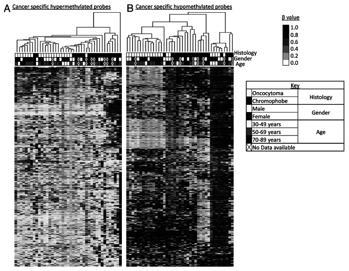 graphic file with name epi-8-252-g2.jpg