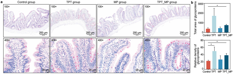 Fig. 1