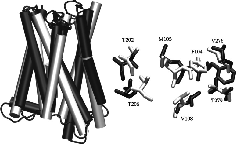 Fig. 2