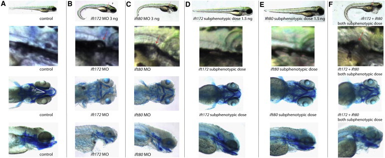 Figure 4