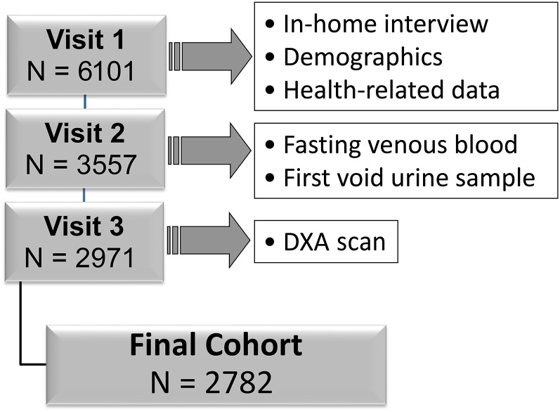 FIGURE 1.