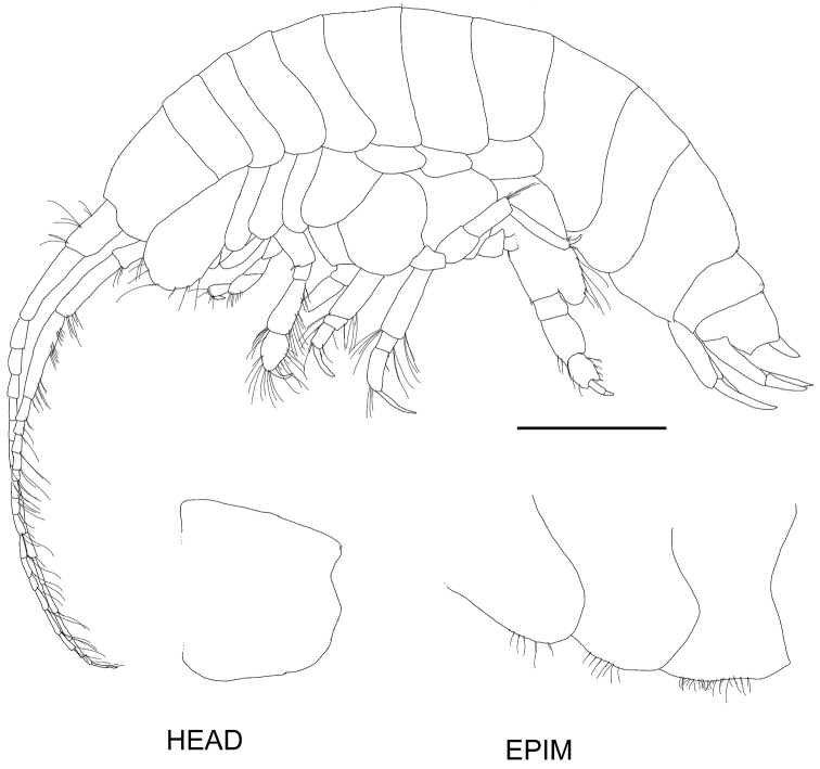 Figure 9.