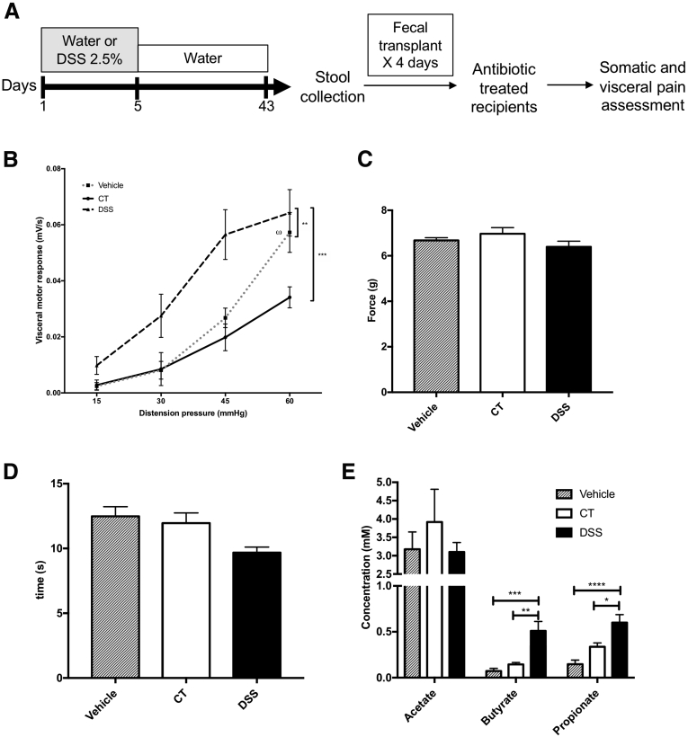 Figure 7