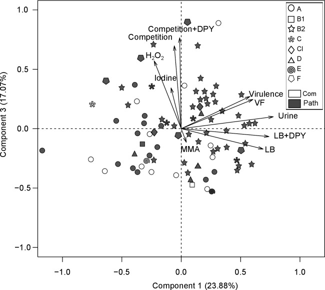 Fig 4