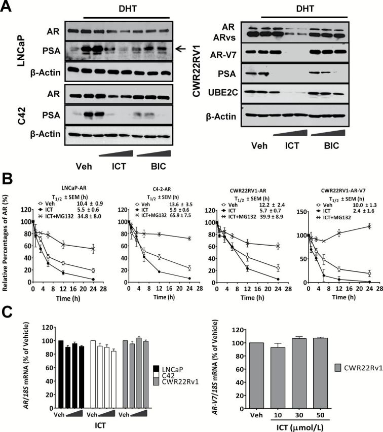 Figure. 1.