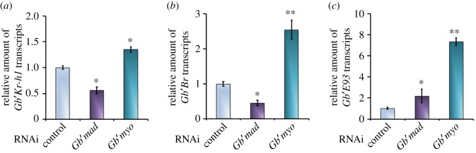 Figure 5.