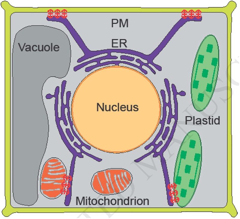 Figure 1.