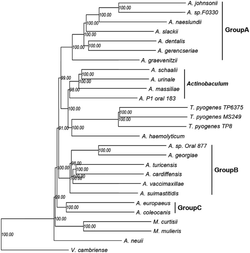 Fig. 4.—