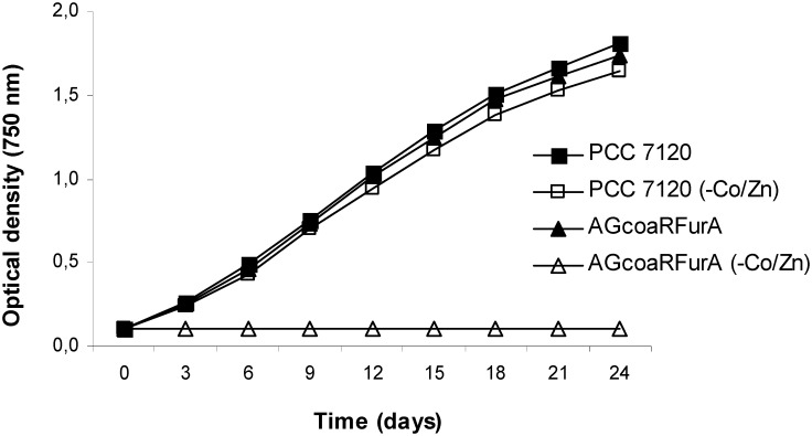 Fig 2