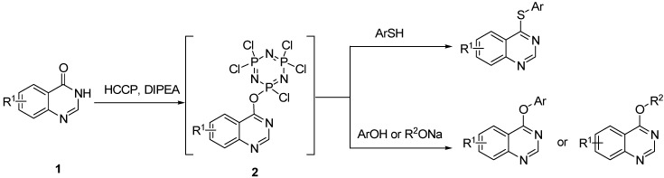 Scheme 1