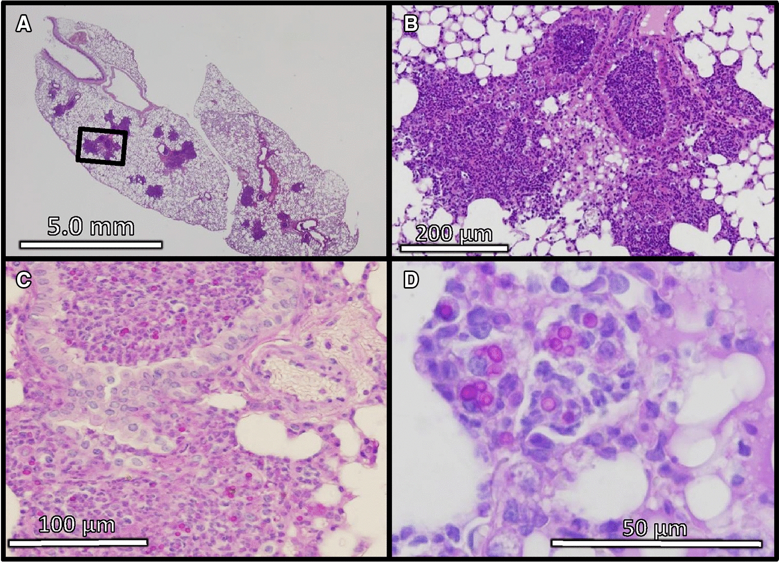 Figure 4