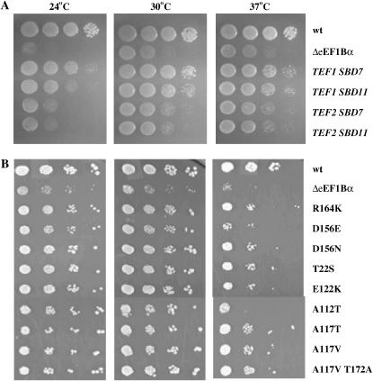 Figure 4.—