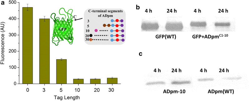 Fig. 3