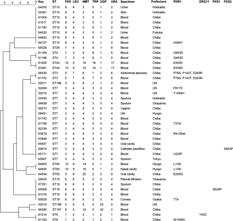 FIG 1