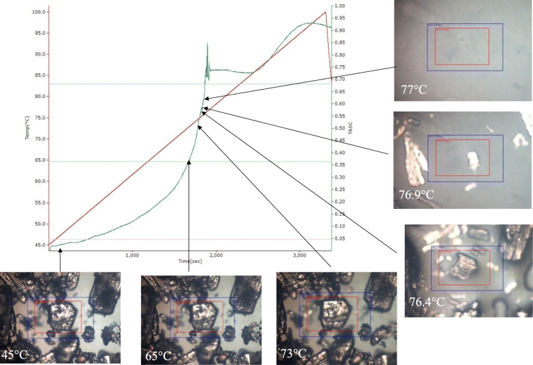 Fig. 10