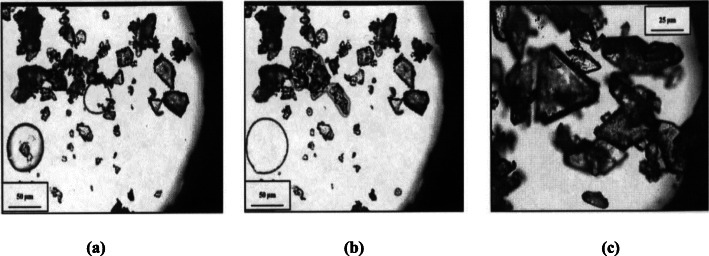 Fig. 9