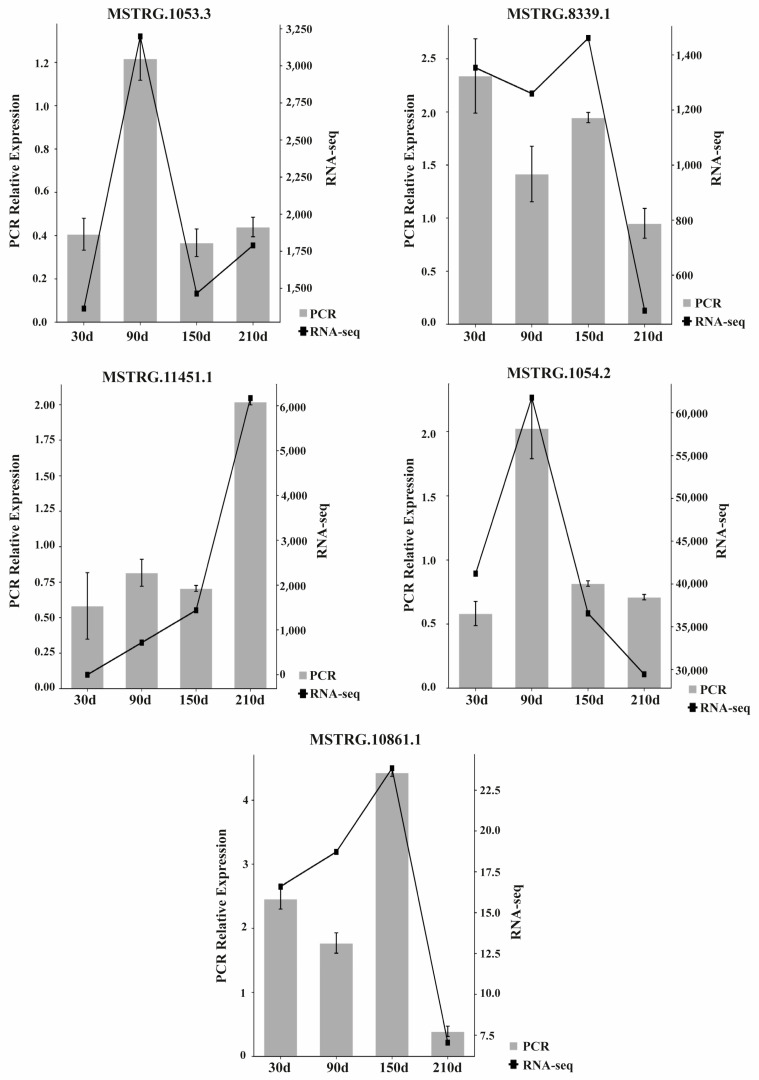 Figure 7