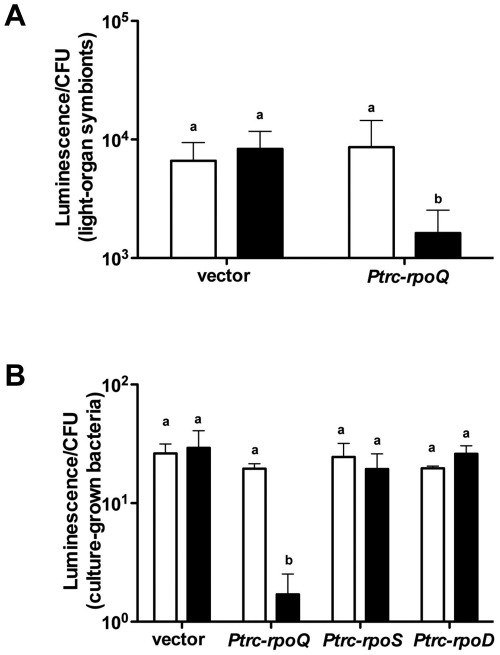 FIG 5 