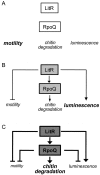 FIG 9
