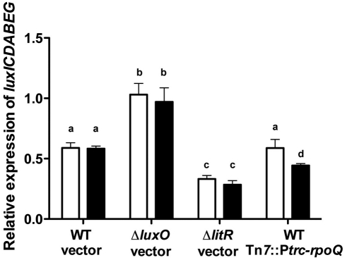 FIG 6 