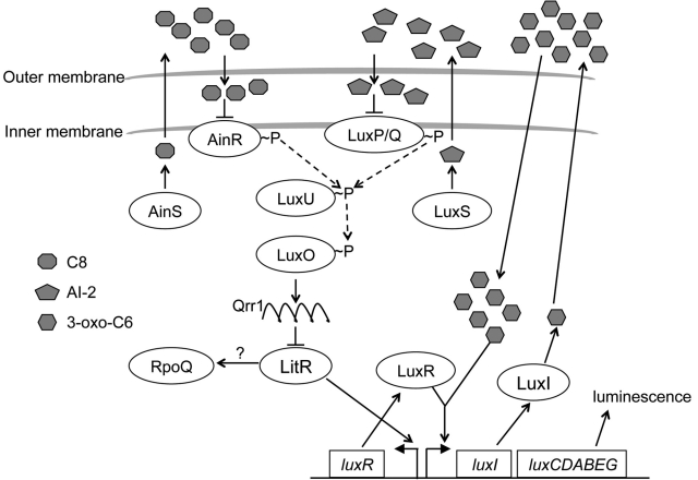 FIG 1 