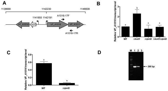 FIG 4 