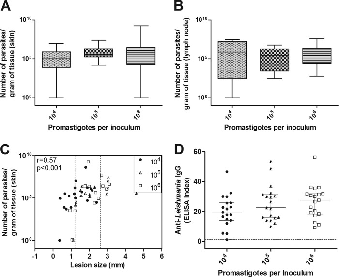 FIG 2