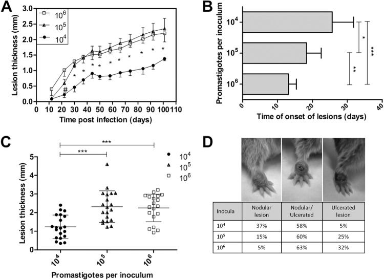 FIG 1