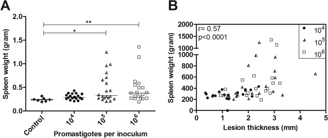 FIG 3