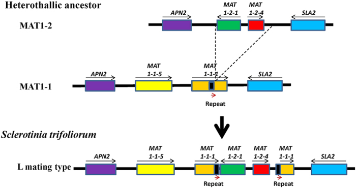 Figure 6