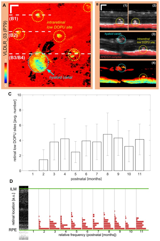 Fig 6