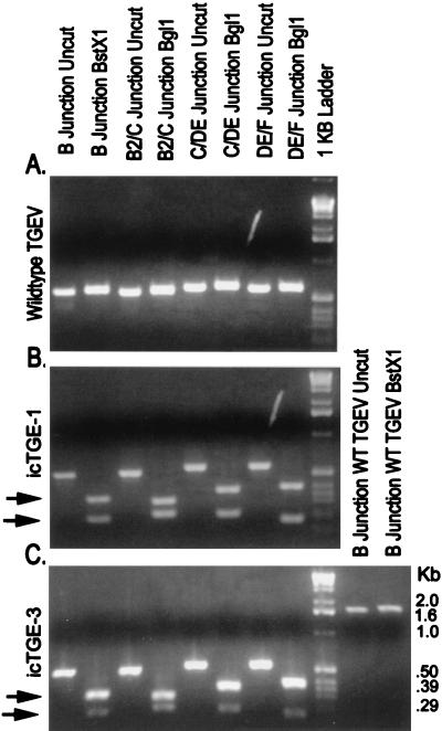 FIG. 8