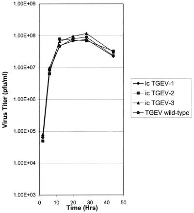 FIG. 6