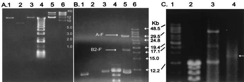 FIG. 4