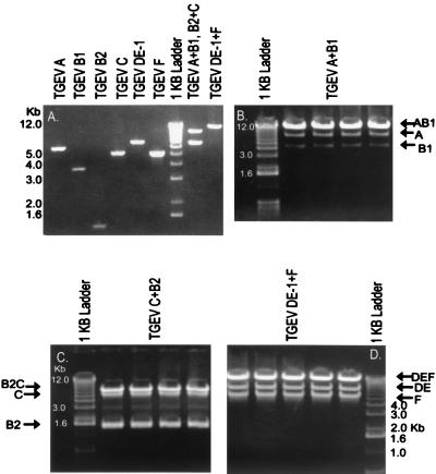 FIG. 3