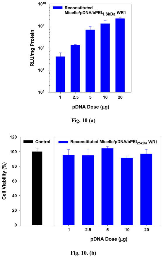 Fig. 10