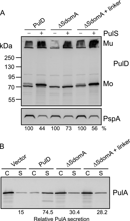 FIGURE 7.